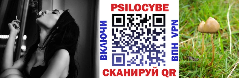 хочу наркоту  Алейск  Галлюциногенные грибы Psilocybe 